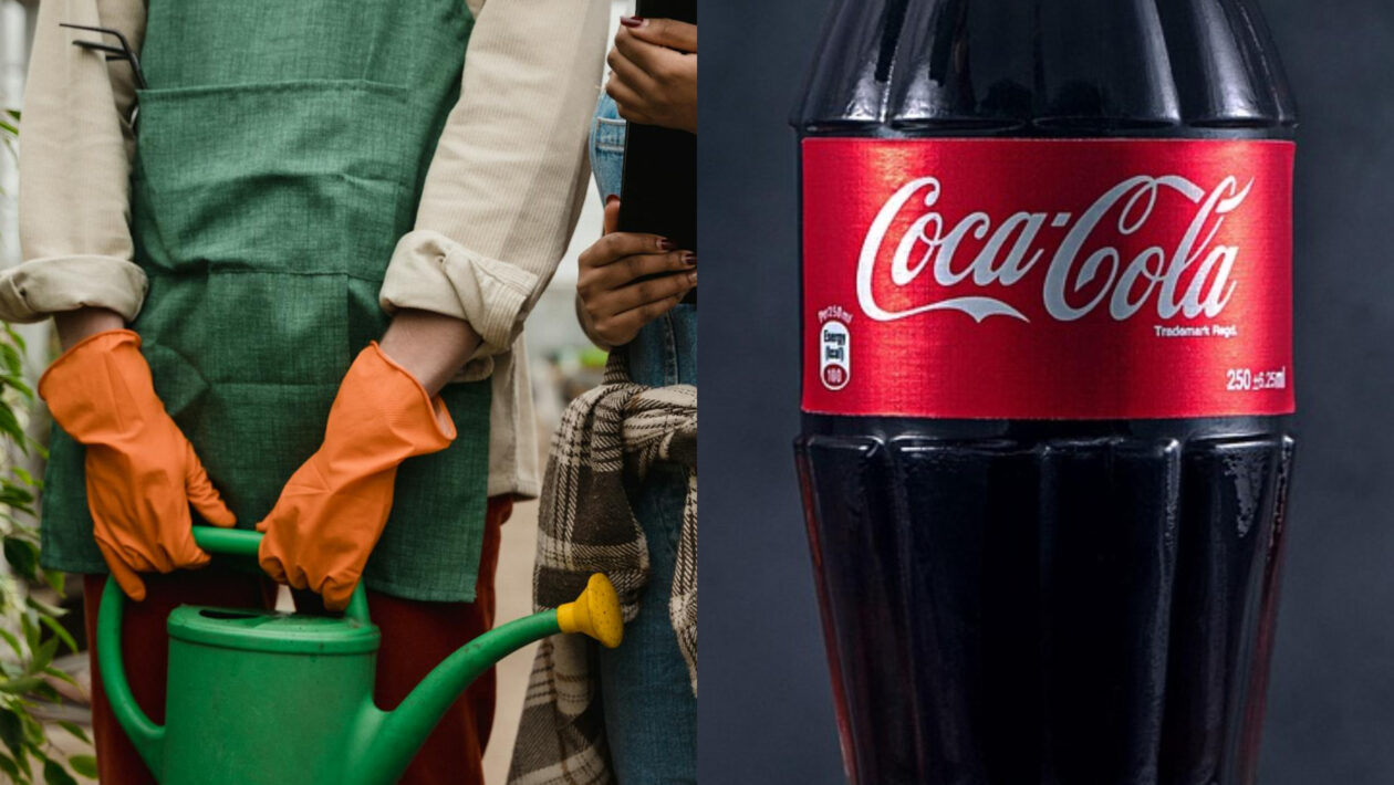coca cola zahrada vosky