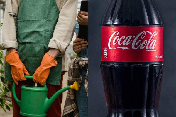 coca cola zahrada vosky scaled