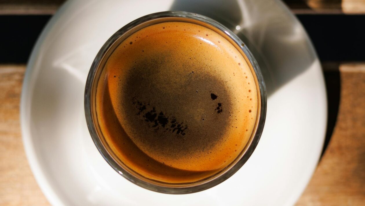 kava 1