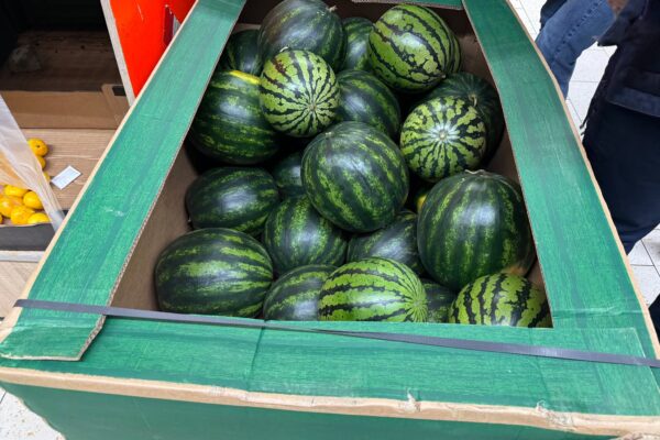 melon obchod