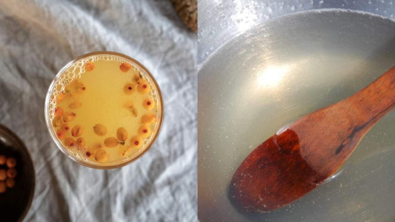 rakytnik kolagen scaled