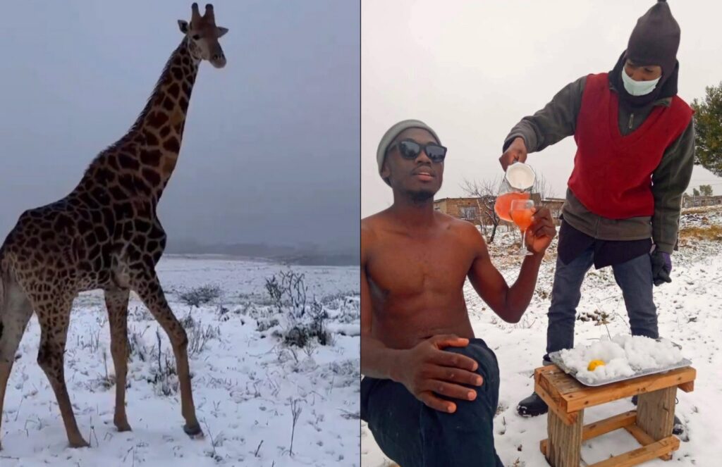afrika snezenie