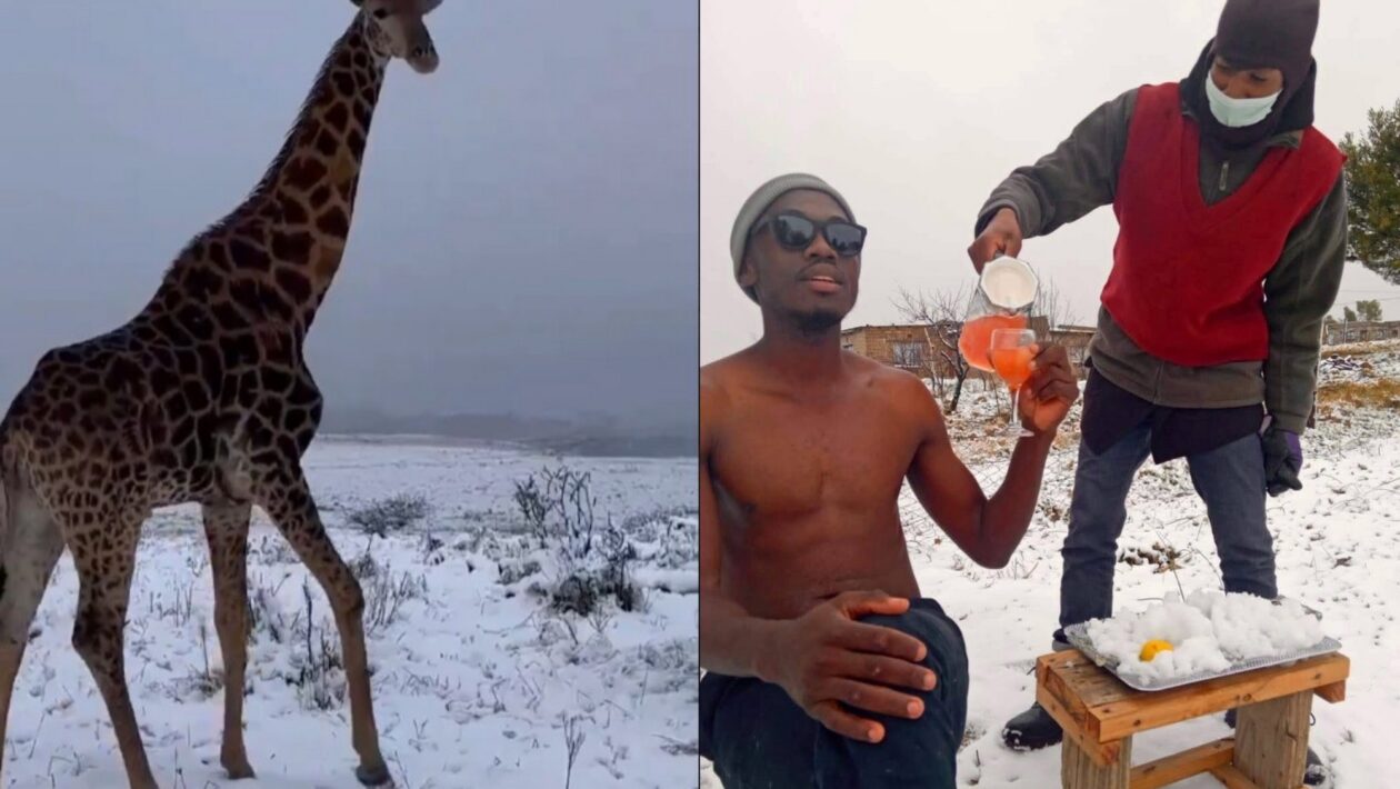 afrika snezenie