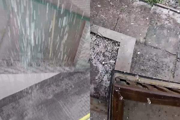 burky krupy slovensko scaled