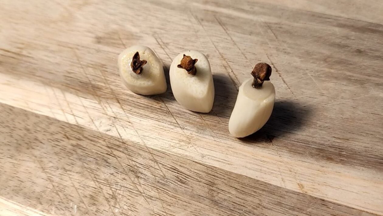cesnak