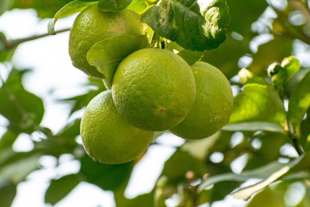 citron