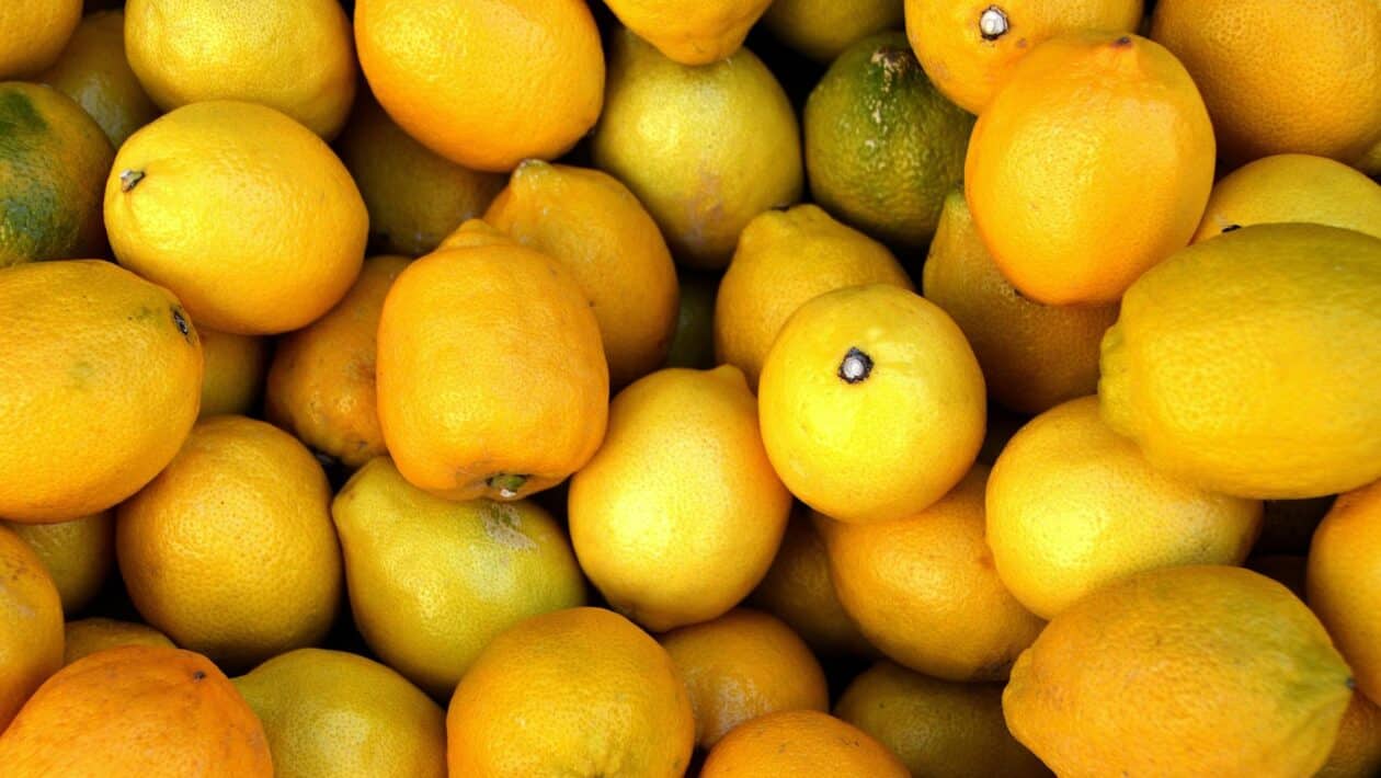 citron 2