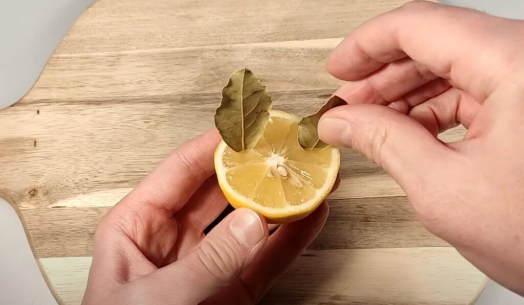 citron bobkovy