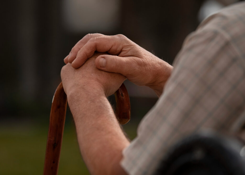 dochodca senior