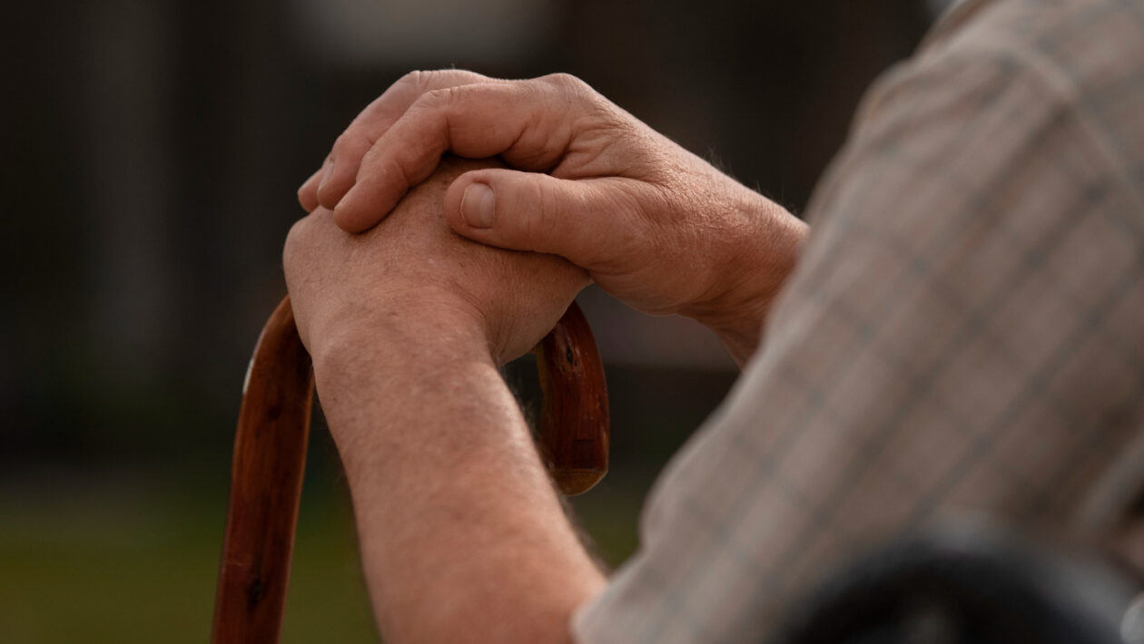dochodca senior