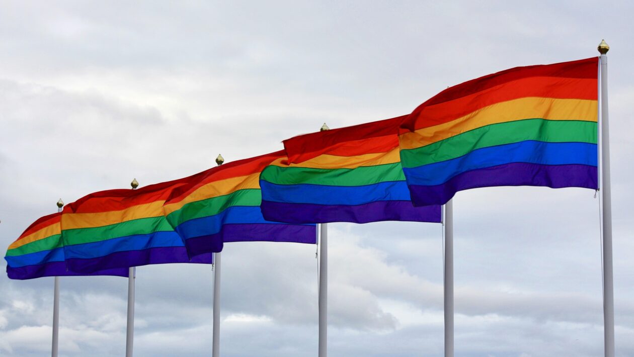lgbt vlajka