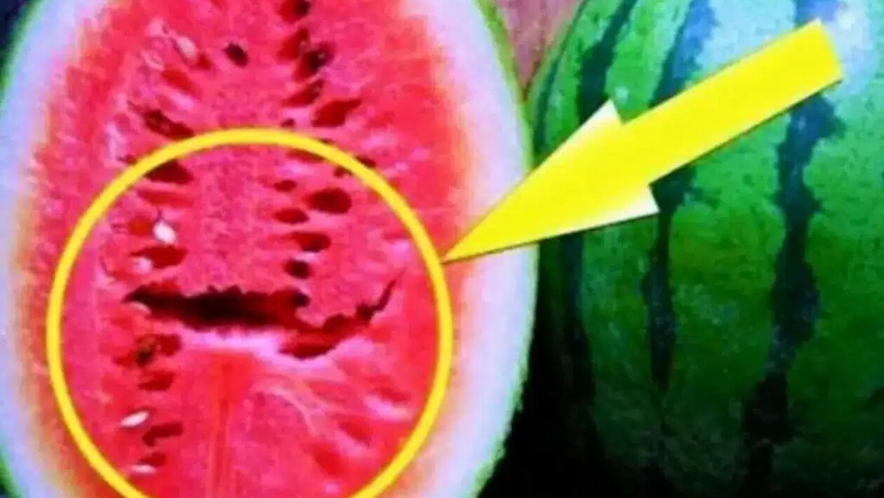 melon 2