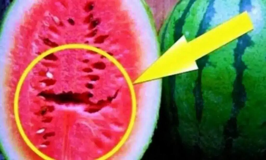melon 3