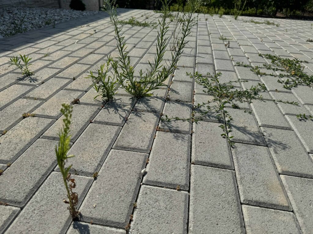 burina dlazba 1