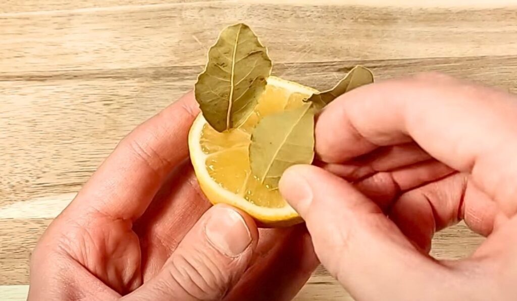 citron bobkovy list