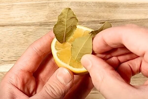 citron bobkovy list