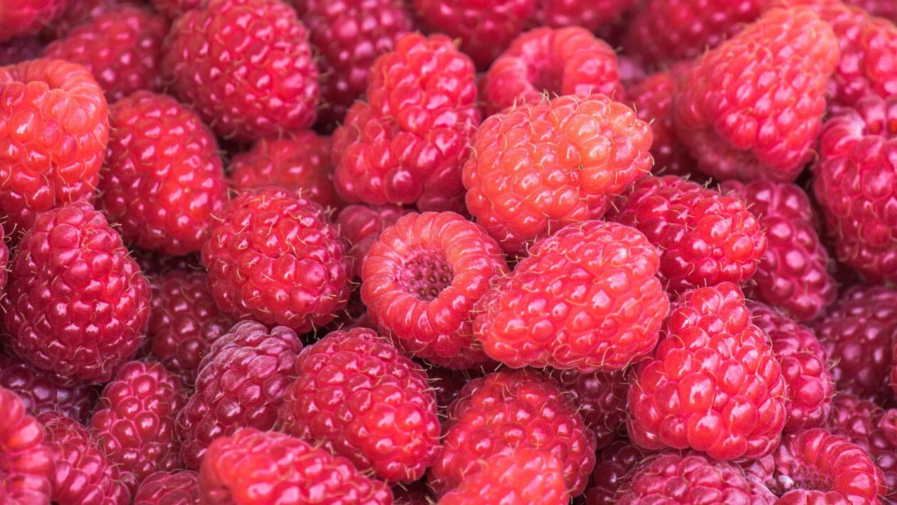 maliny