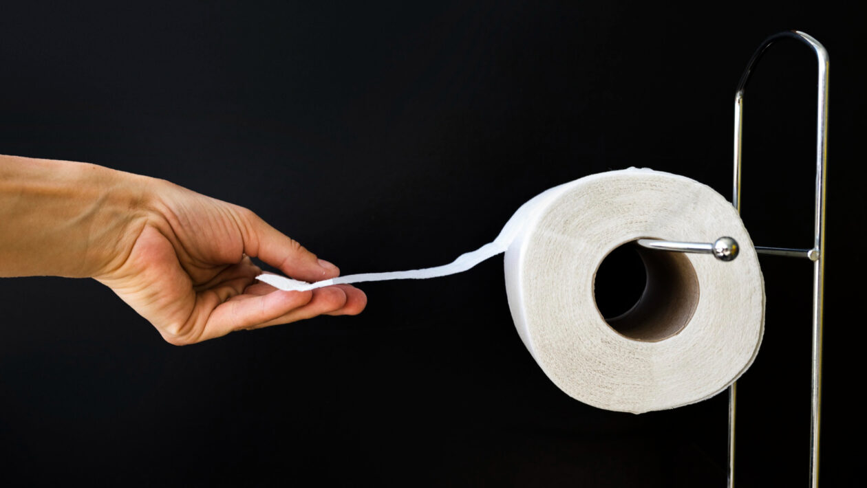 toaletny papier pasca komare