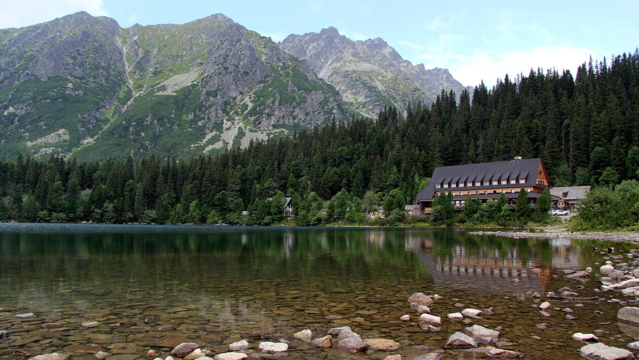 vysoke tatry medved