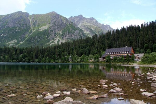 vysoke tatry medved