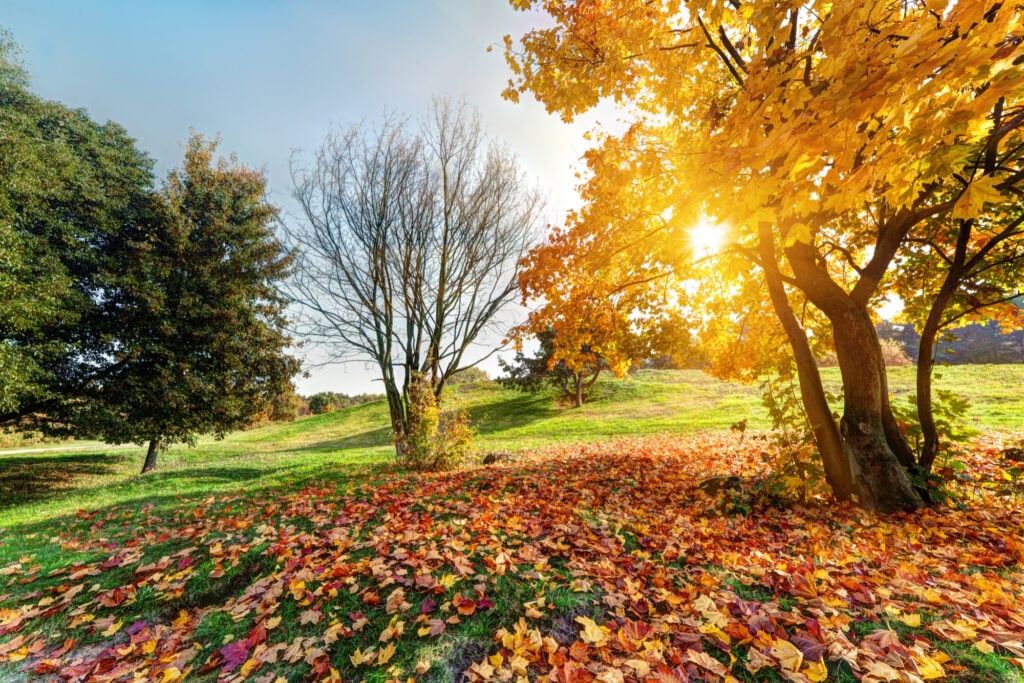 babie leto slovensko pocasie oktober 2025
