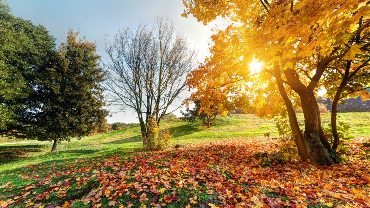 babie leto slovensko pocasie oktober 2025