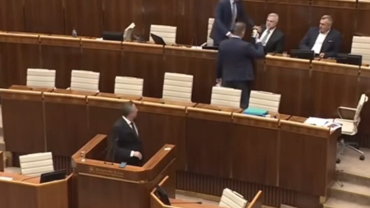 matovic parlament