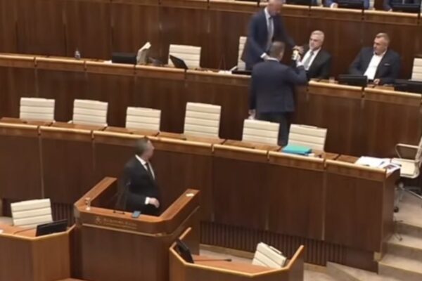 matovic parlament