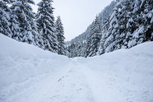 predpoved zima sneh slovensko