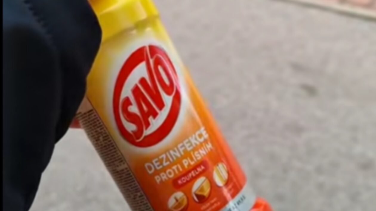 savo fico smer