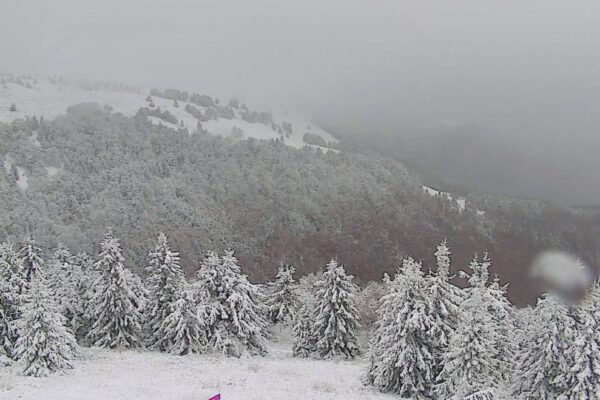 573330247 853321690377910 6088628450108074701 n