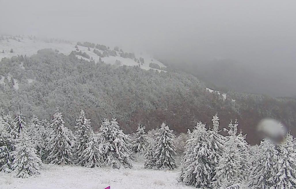 573330247 853321690377910 6088628450108074701 n