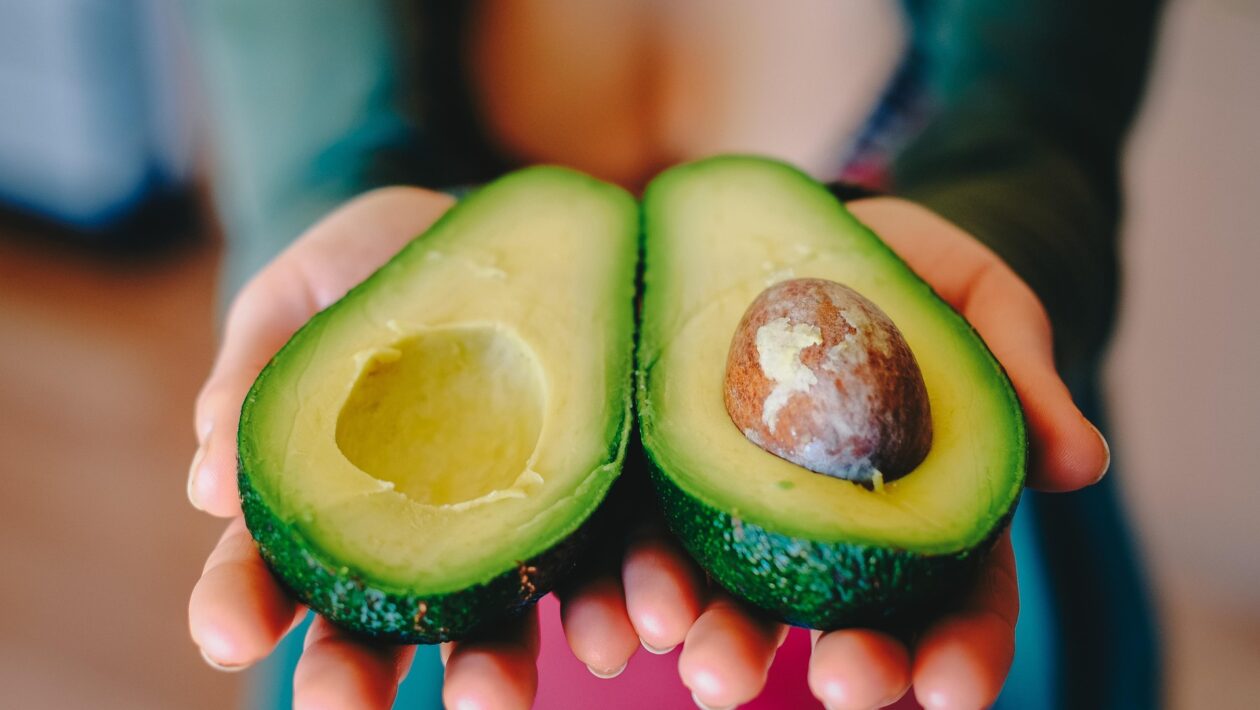 avokado 1
