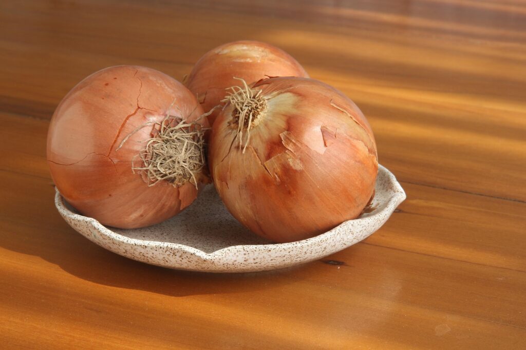 cibula
