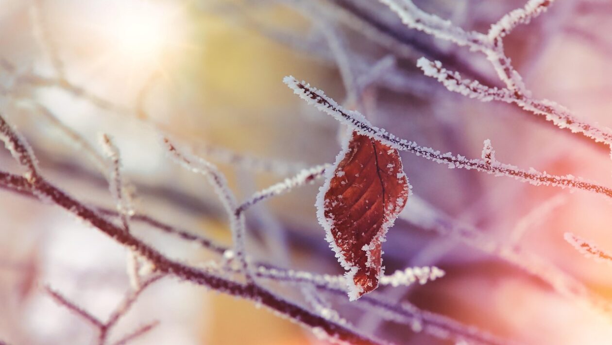 pocasie jesen slovensko 5