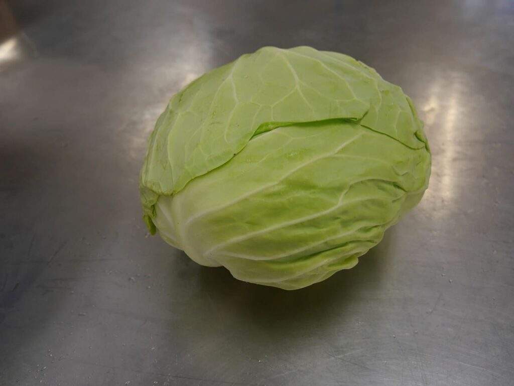 kapusta