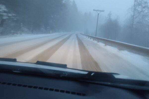 poladovica snezenie slovensko
