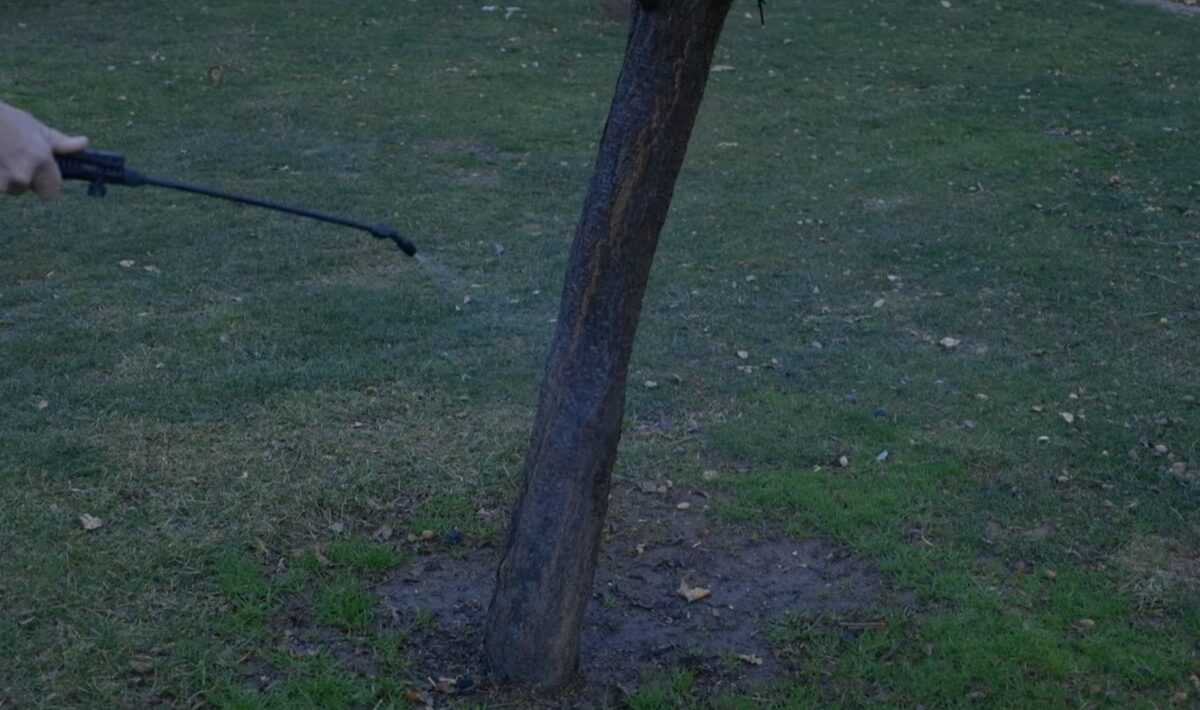 postrek stromy ovocne med