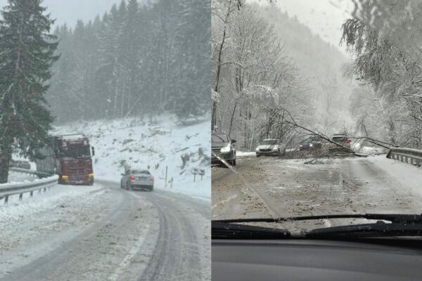 sneh slovensko kalamita