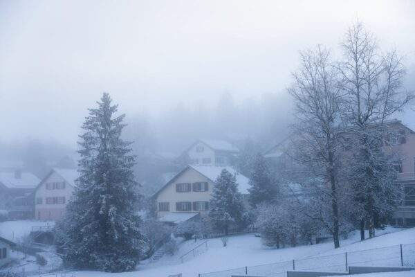 snezenie slovensko
