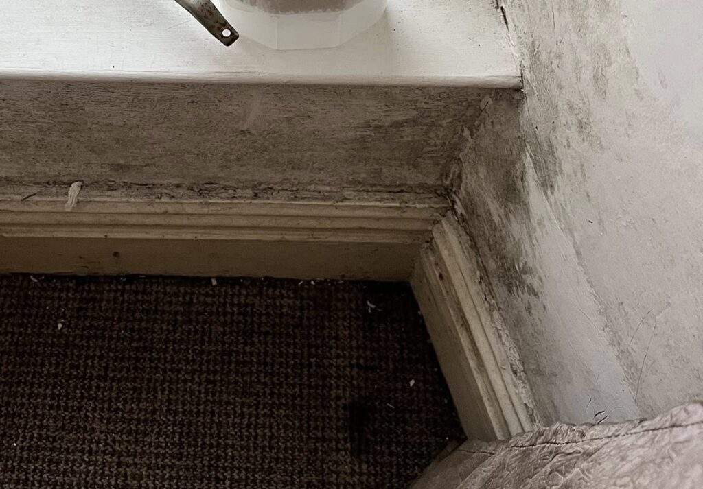 vlhkost steny plesen 1