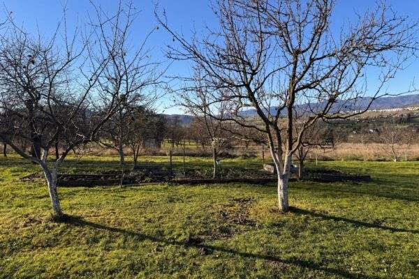 zahrada jesen 2 scaled