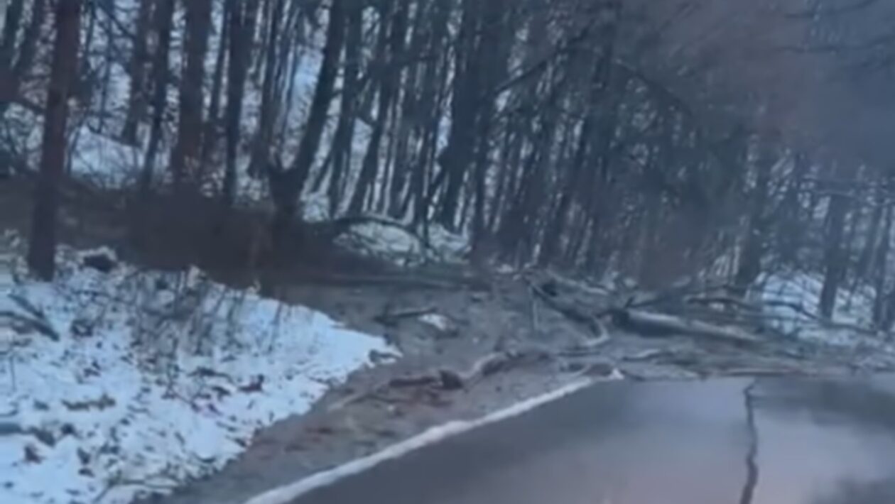 zaplavi slovensko bahno