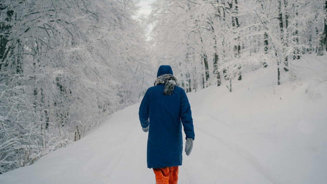 zima pocasie slovensko snezenie sneh