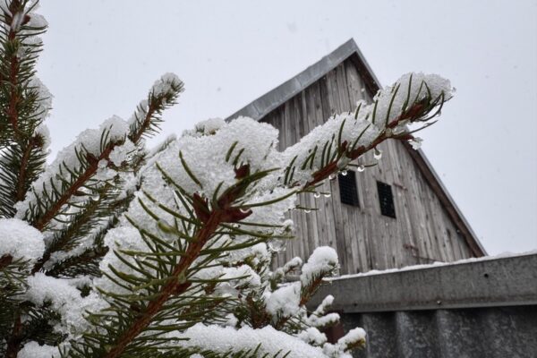 zima sneh pocasie slovensko