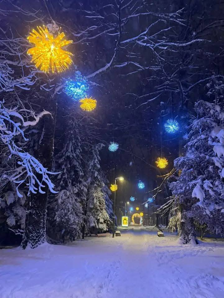 603857663 1329516862546450 3876391789589917193 n