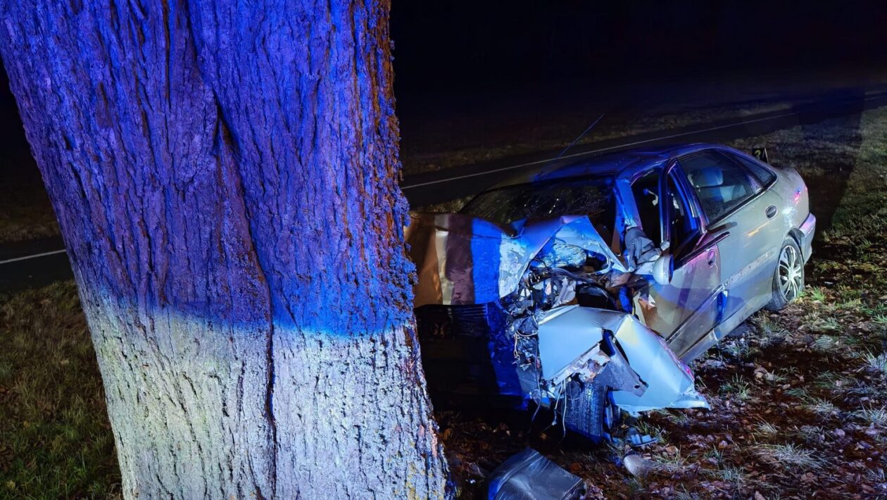 dopravna nehoda presov strom