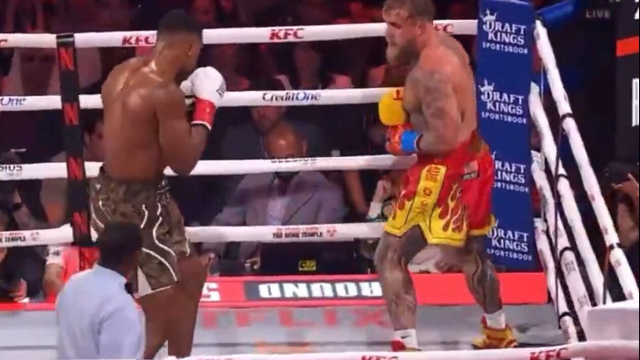 jake paul joshua vysledok zapasu