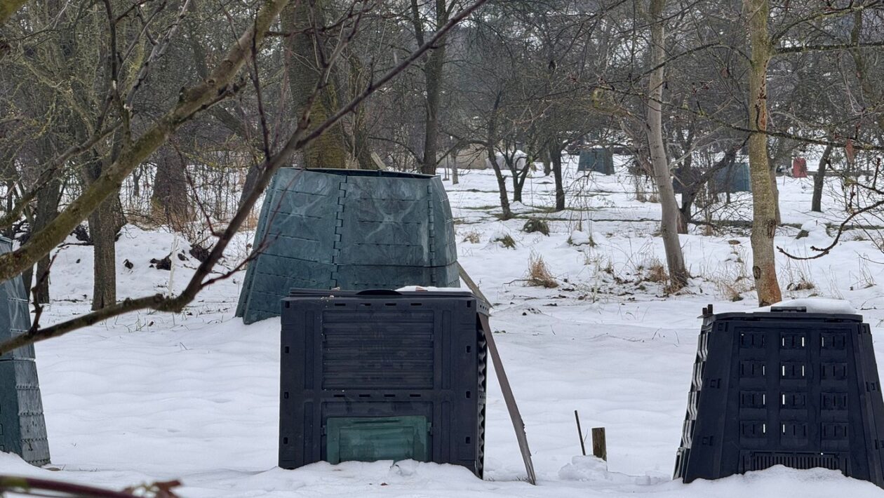 kompost zima zahrada