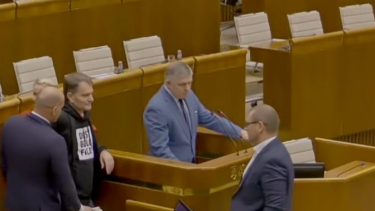 matovic fico parlament